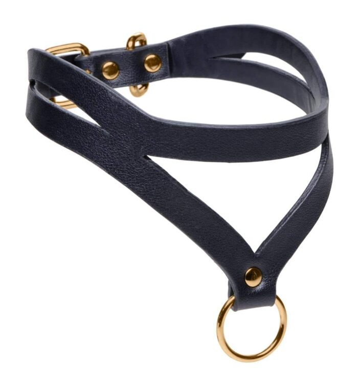 Master Series - Bondage Baddie Collar With O-ring  - Sort/Gull
