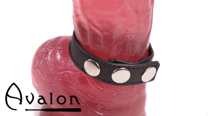 Avalon - HILT - Enkel Penisring i Lær - Svart