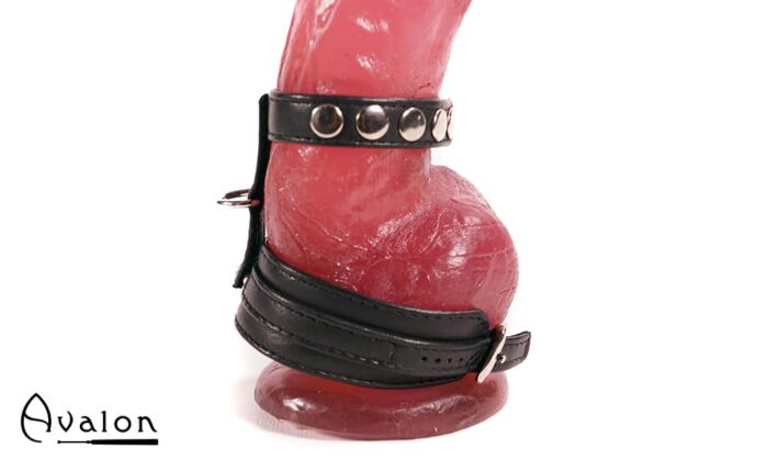 Avalon - ENDURENCE - Cock & Ball Harness med Spenner - Svart