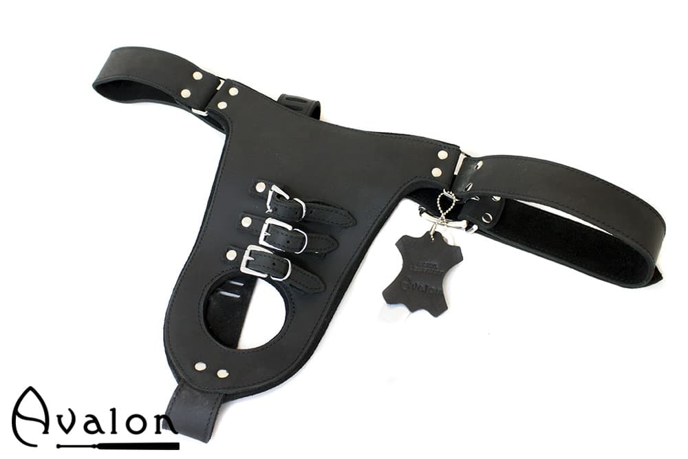 Avalon - GUILTY - Penis og Pung Harness - Svart