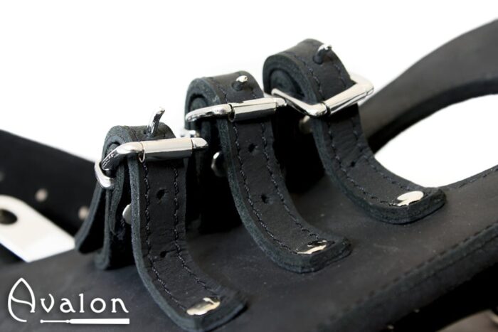 Avalon - GUILTY - Penis og Pung Harness - Svart