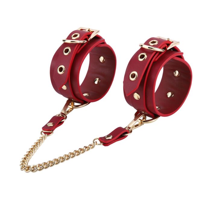 BDSM Deluxe sett med 5 deler og veske - Red