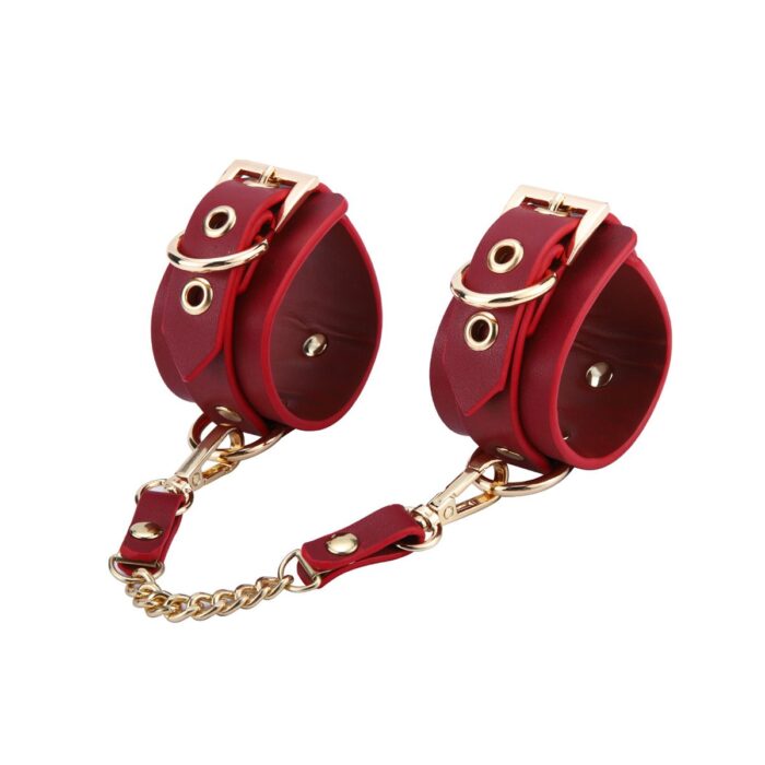 BDSM Deluxe sett med 5 deler og veske - Red