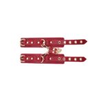 BDSM Deluxe sett med 5 deler og veske - Red