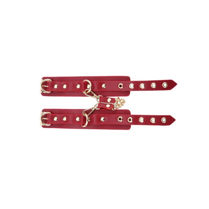 BDSM Deluxe sett med 5 deler og veske - Red