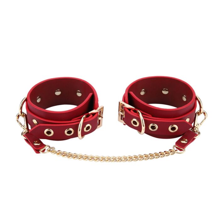 BDSM Deluxe sett med 5 deler og veske - Red