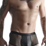 Regnes Fetish Planet - Boxer i wetlook og mesh