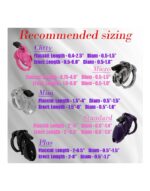 The Vice Micro - Chastity Set - Kuklås sett - Transparent