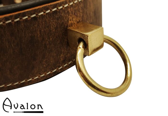 AVALON - Viking - Valkyrie - Collar - Brun