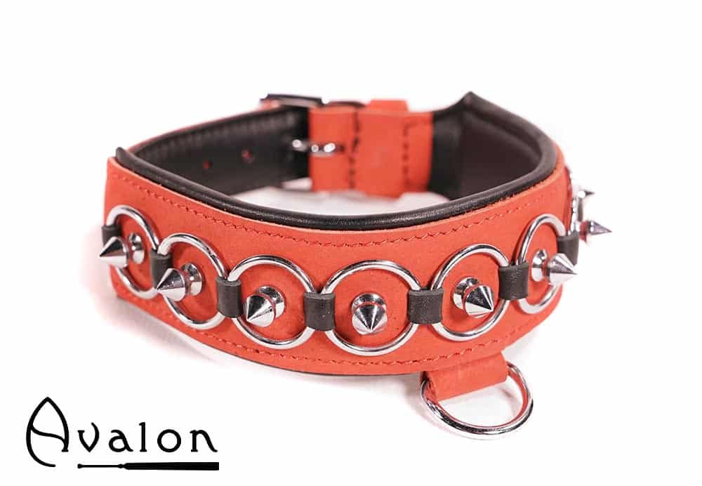 Avalon - WORSHIP - Collar med spisse nagler, ringer og D-ring - Rød og sort