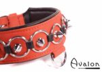Avalon - WORSHIP - Collar med spisse nagler, ringer og D-ring - Rød og sort