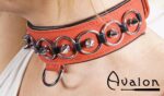 Avalon - WORSHIP - Collar med spisse nagler, ringer og D-ring - Rød og sort
