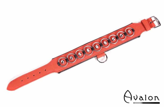 Avalon - WORSHIP - Collar med spisse nagler, ringer og D-ring - Rød og sort
