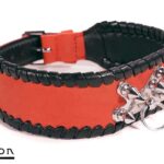 Avalon - SACRIFICE - Collar med spisse nagler og O-ring - Rød og sort