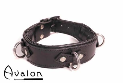 Avalon - VICTORY - Enkelt Collar med D-ringer og polstring, Sort