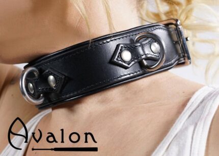 Avalon - VICTORY - Enkelt Collar med D-ringer og polstring, Sort