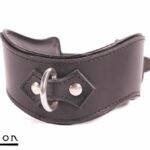 Avalon - GUARDED - Collar med god Polstring, Svart