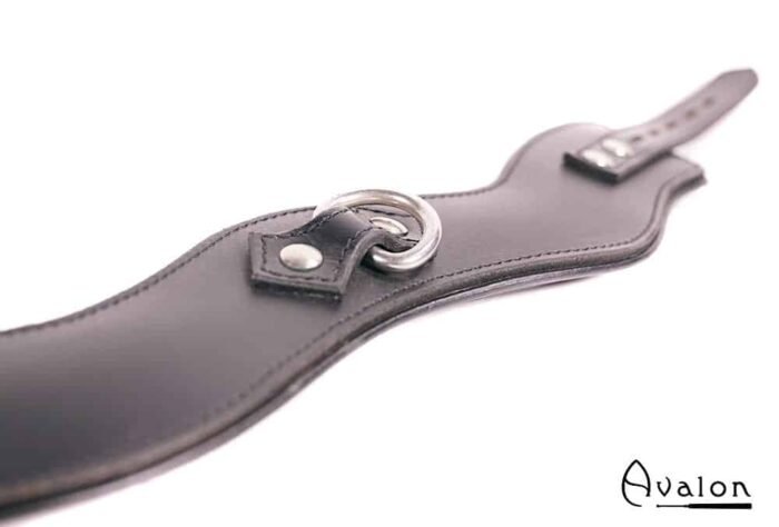 Avalon - GUARDED - Collar med god Polstring, Svart
