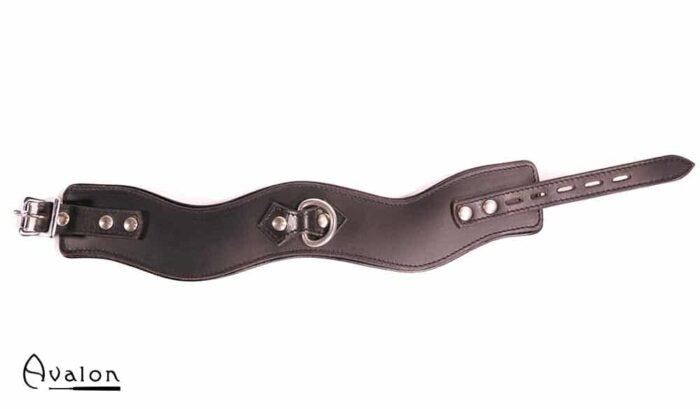 Avalon - GUARDED - Collar med god Polstring, Svart
