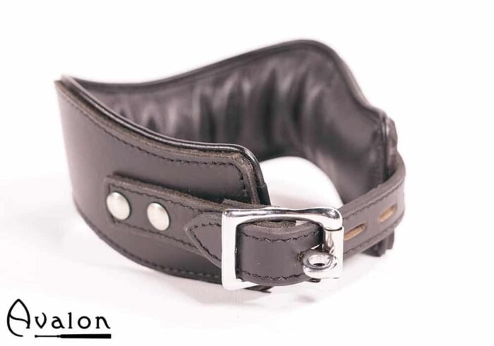 Avalon - GUARDED - Collar med god Polstring, Svart
