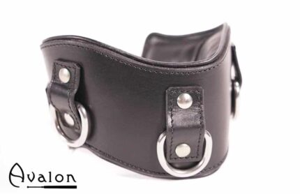Avalon - CONQUER - Collar med god polstring, Svart