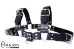 Avalon - BLAZON - Harness Svart