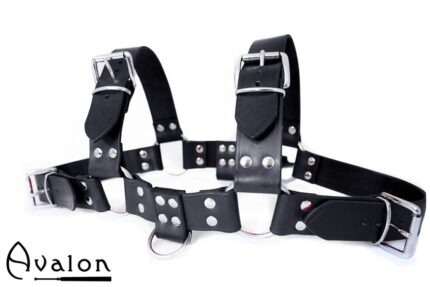 Avalon - BLAZON - Harness Svart