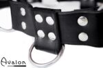 Avalon - BLAZON - Harness Svart