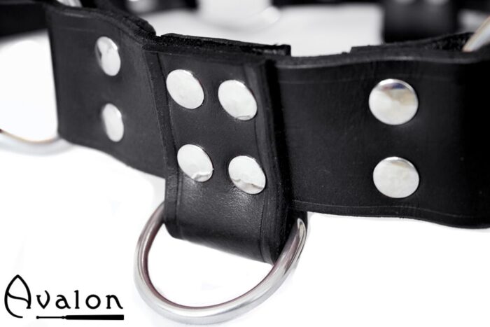 Avalon - BLAZON - Harness Svart