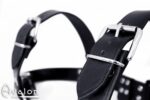 Avalon - BLAZON - Harness Svart