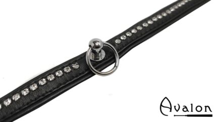 Avalon - GAIUS - Enkelt Collar blanke stener